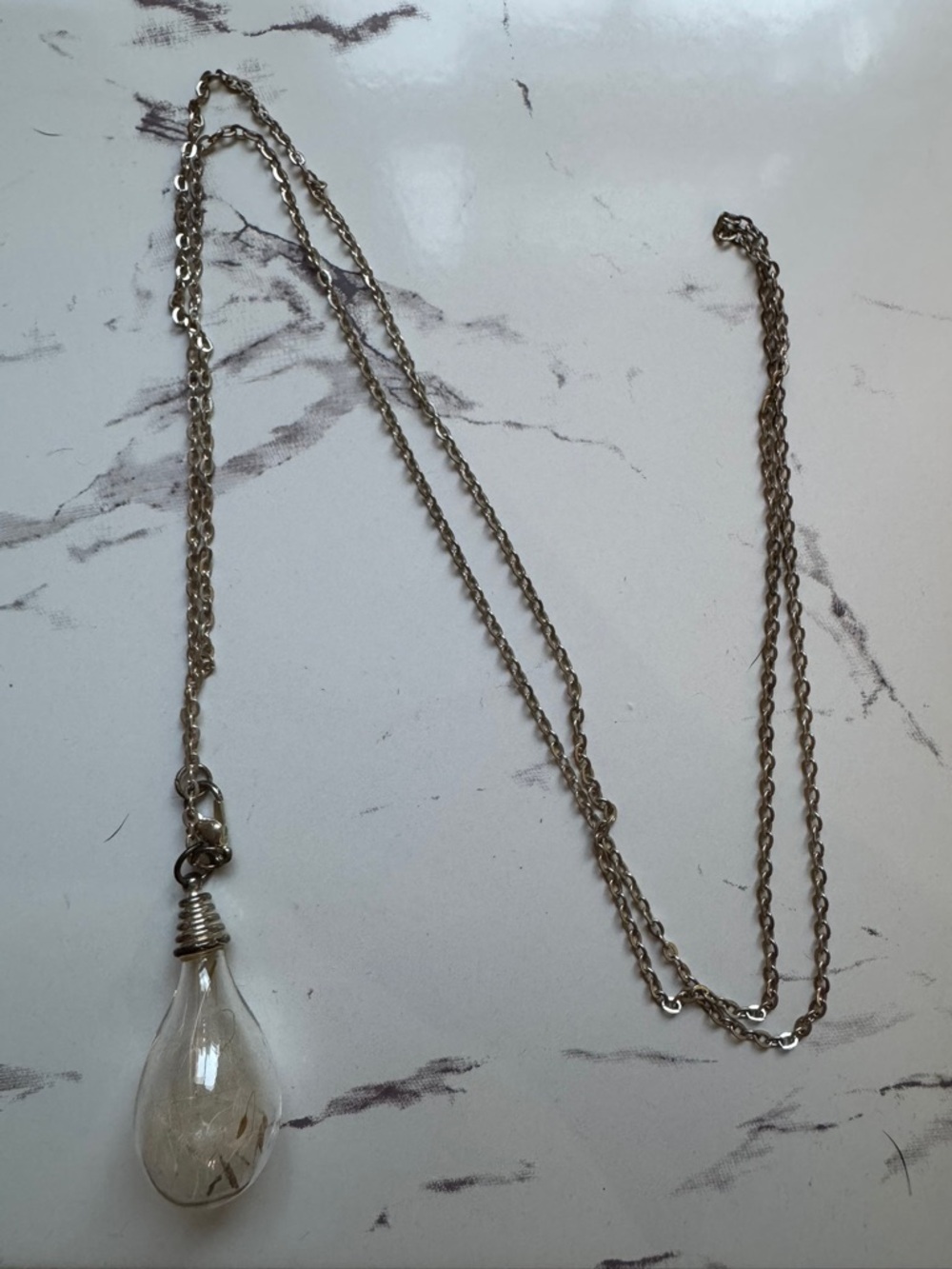 Delicate Silver Teardrop Dandelion Pendant Necklace - Clear
